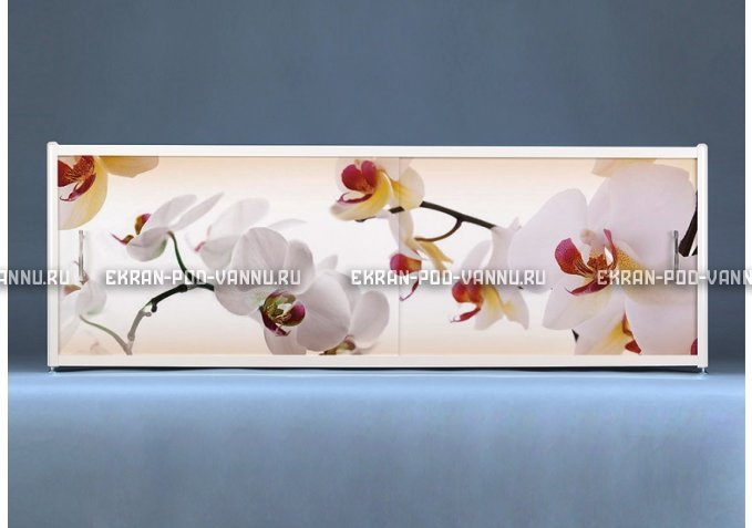 Раздвижной ФОТО экран - Orchid – купить по цене 8500 руб. в интернет-магазине в городе Санкт-Петербург картинка 1