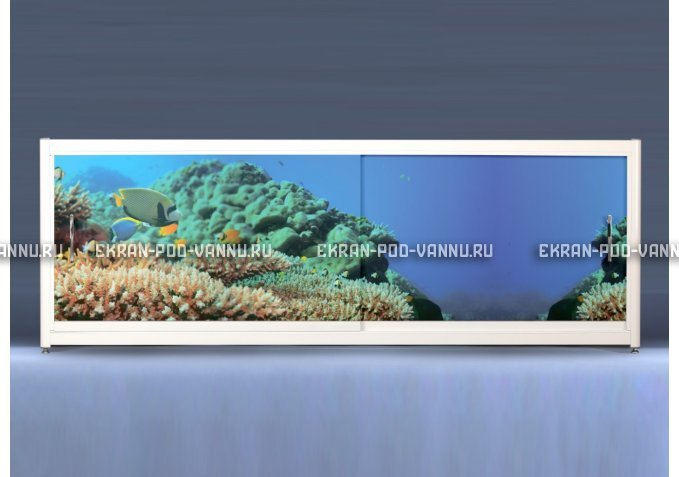 Экран на роликах EUROPLEX Коралловые рифы – купить по цене 12400 руб. в интернет-магазине в городе Санкт-Петербург картинка 1
